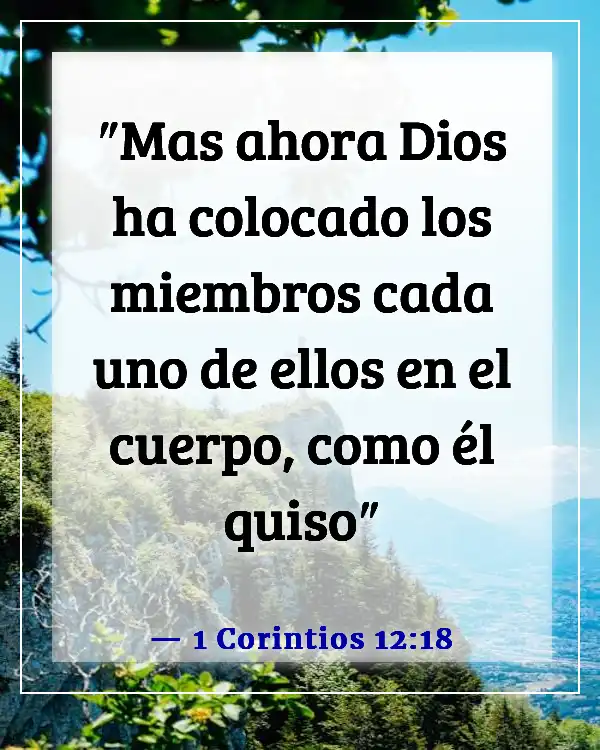 Versículos de la Biblia sobre dones y talentos (1 Corintios 12:18)