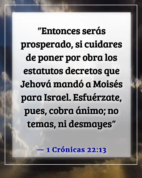 Versículo de la Biblia sobre logros (1 Crónicas 22:13)