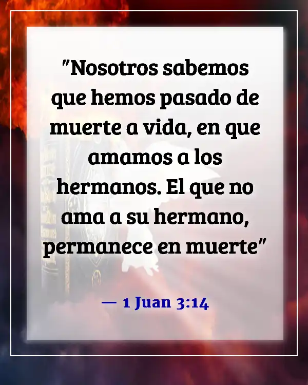 Versículos de la Biblia sobre el amor entre hermanos (1 Juan 3:14)