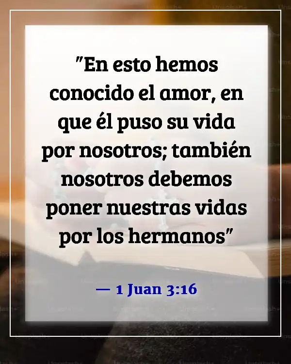 Versículos de la Biblia sobre el amor entre hermanos (1 Juan 3:16)