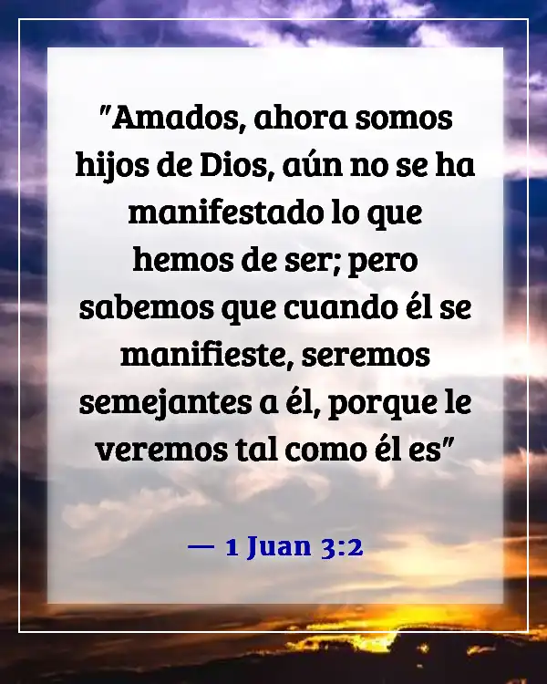 Versículos bíblicos sobre esperar el regreso de Jesús (1 Juan 3:2)