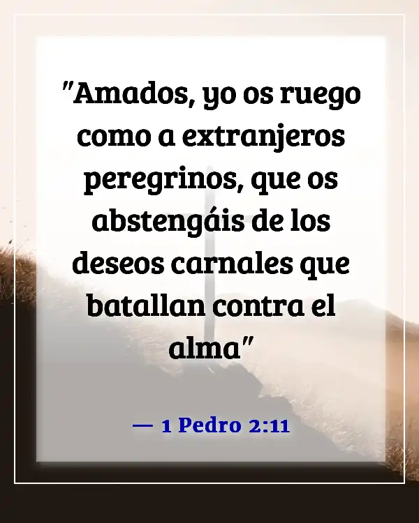 Versículo de la Biblia sobre ser apartado del mundo (1 Pedro 2:11)