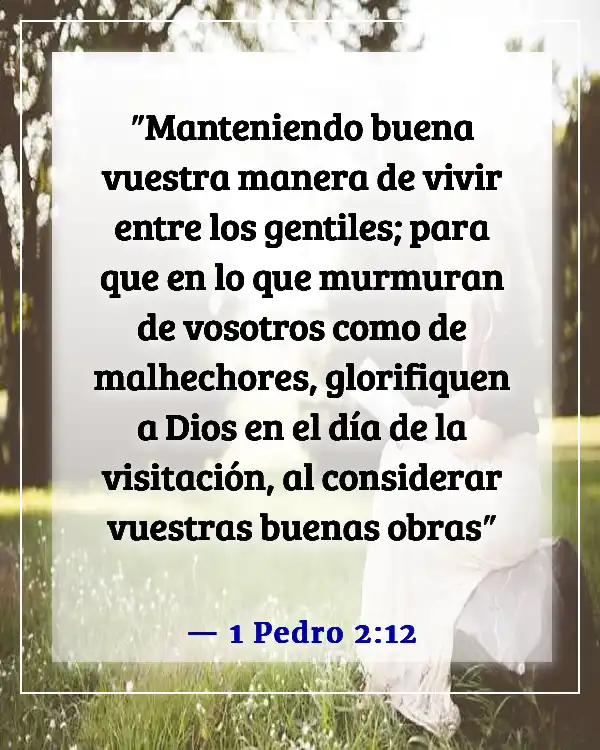 Versículos de la Biblia sobre honrar el nombre de Dios (1 Pedro 2:12)