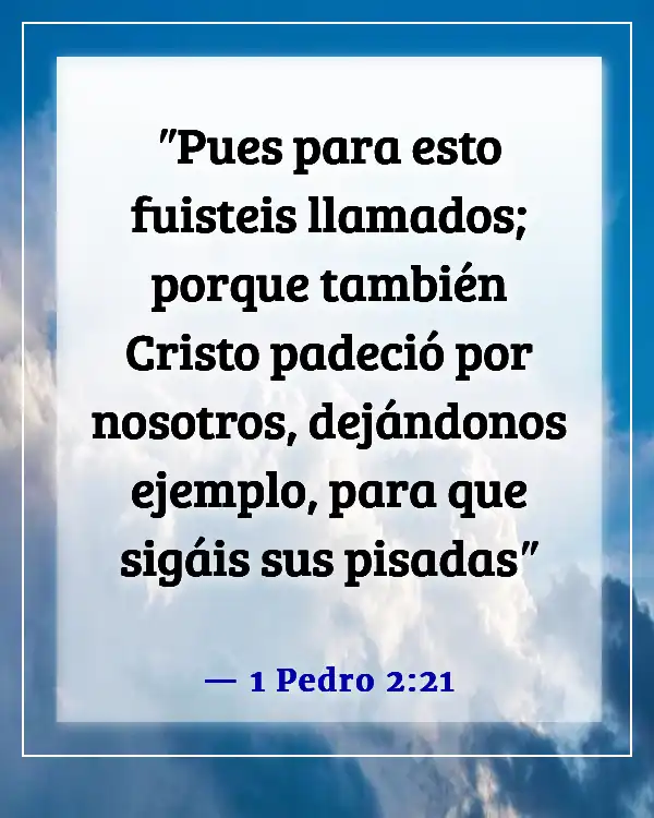 Versículos de la Biblia sobre las dificultades y pruebas (1 Pedro 2:21)
