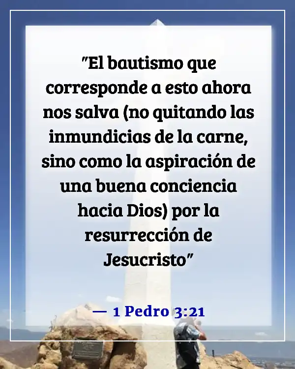 Versículos de la Biblia sobre el Sacramento del Bautismo (1 Pedro 3:21)