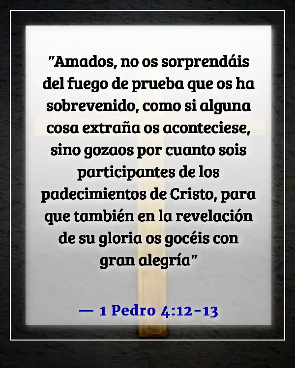 Versículo de la Biblia sobre cómo lidiar con los problemas (1 Pedro 4:12-13)