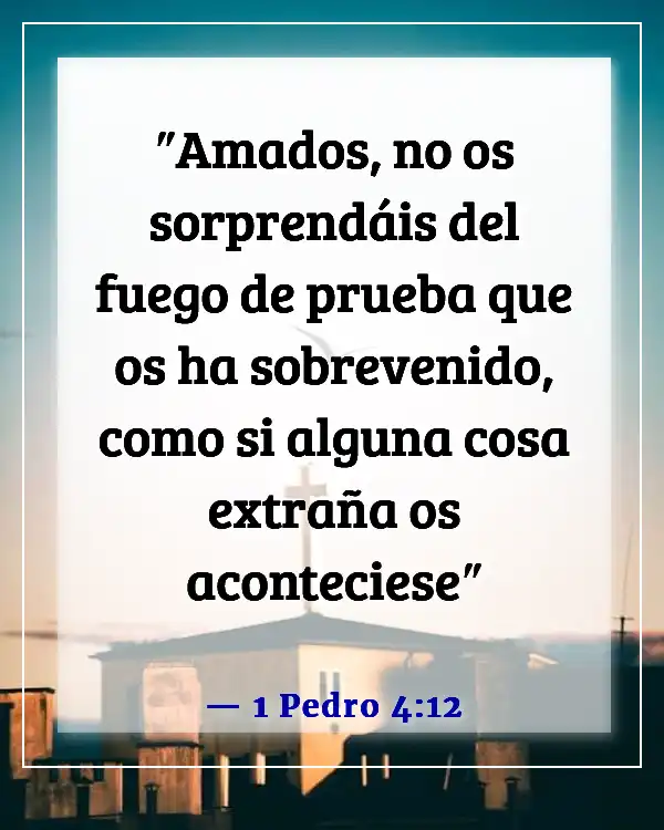 Versículos de la Biblia sobre la fe en medio de pruebas, dificultades y problemas (1 Pedro 4:12)