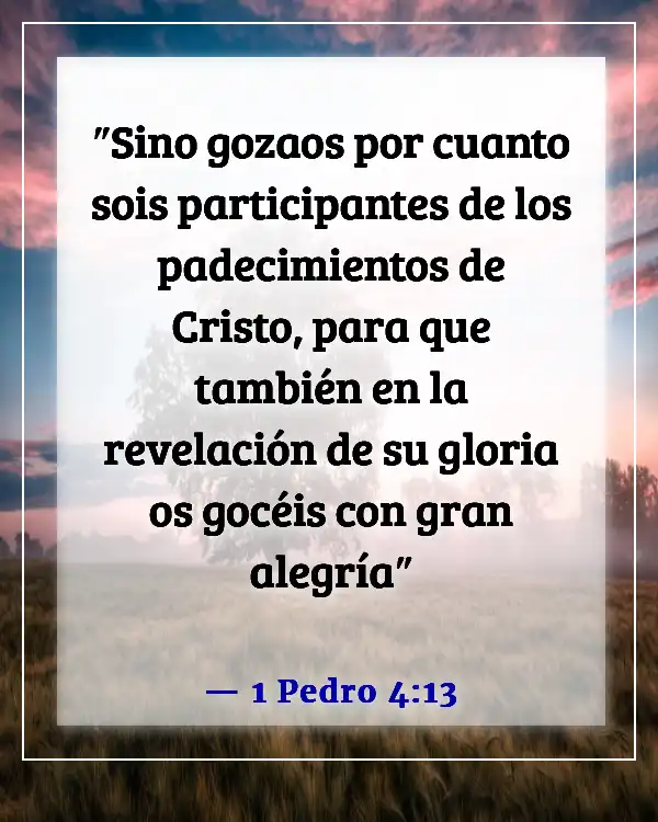 Versículo de la Biblia sobre estar agradecido por las pruebas (1 Pedro 4:13)