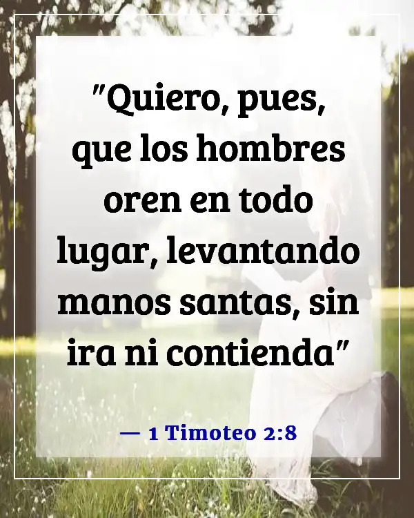 The translation of "Bible Verse: Be Angry But Do Not Sin" into Spanish is:

"Versículo de la Biblia: Enójense, pero no pequen." (1 Timoteo 2:8)