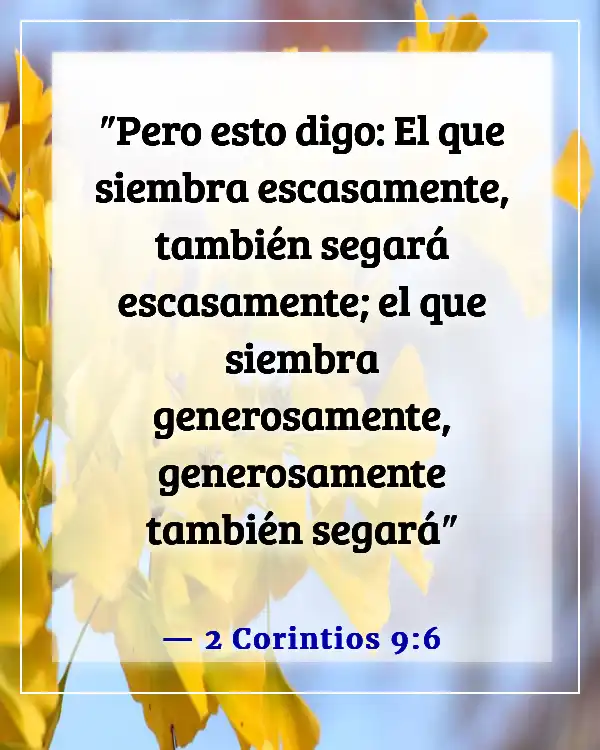 Versículos bíblicos sobre acciones y consecuencias (2 Corintios 9:6)