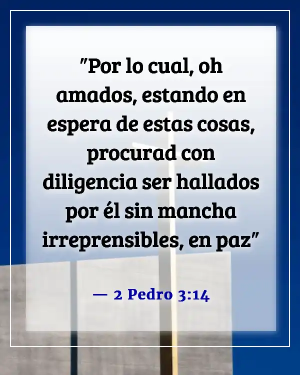 Versículo de la Biblia sobre la constancia (2 Pedro 3:14)