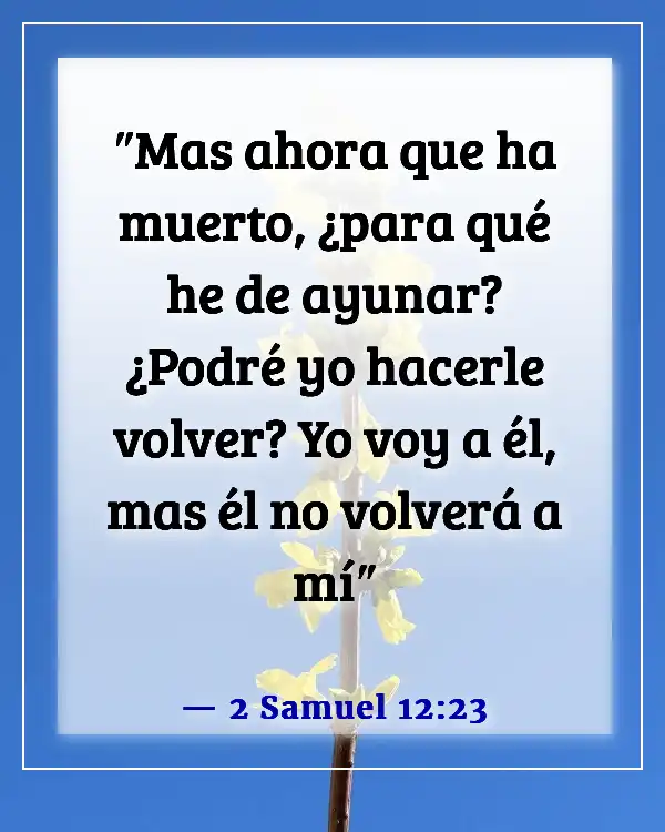 Versículos de la Biblia sobre los niños que van al cielo (2 Samuel 12:23)