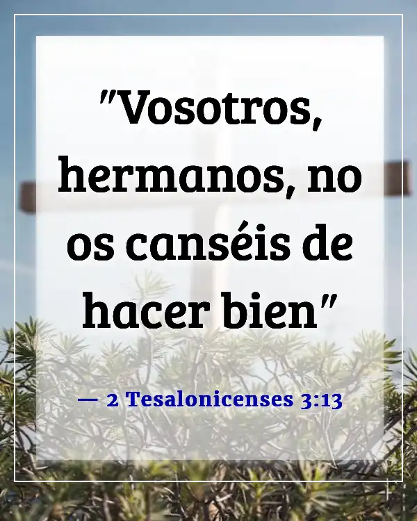 Versículo de la Biblia sobre la paciencia y la perseverancia (2 Tesalonicenses 3:13)