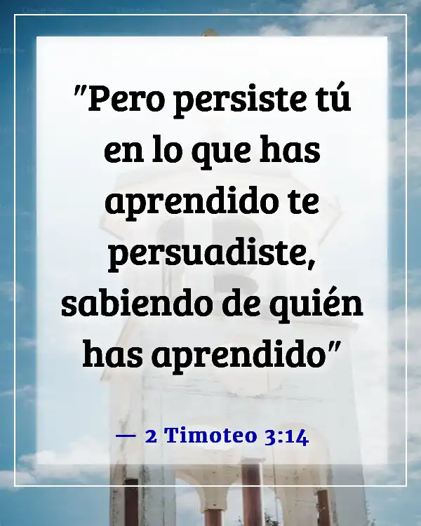 Versículo de la Biblia sobre la constancia (2 Timoteo 3:14)