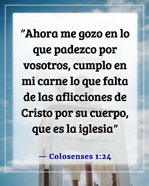Versículo de la Biblia sobre estar agradecido por las pruebas (Colosenses 1:24)