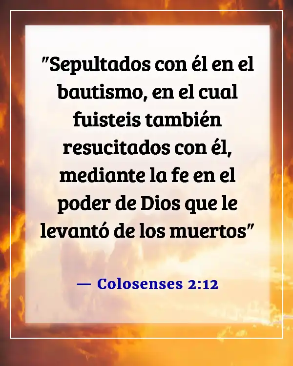 Versículos de la Biblia sobre el Sacramento del Bautismo (Colosenses 2:12)