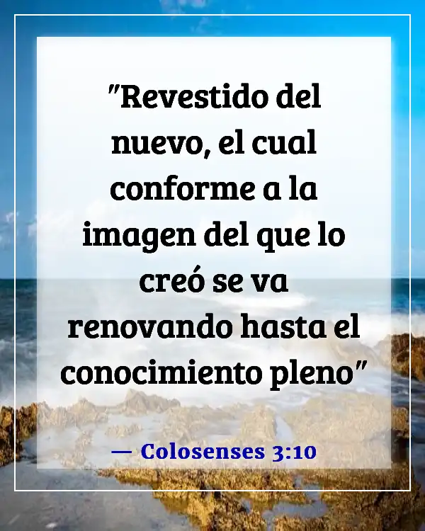 Un versículo de la Biblia sobre olvidar el pasado (Colosenses 3:10)