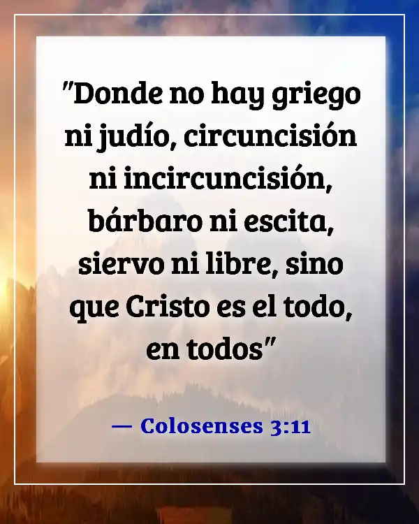 Versículo Bíblico Sobre Justicia E Igualdad (Colosenses 3:11)