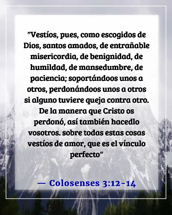 Versículos de la Biblia sobre esperar a la persona adecuada (Colosenses 3:12-14)