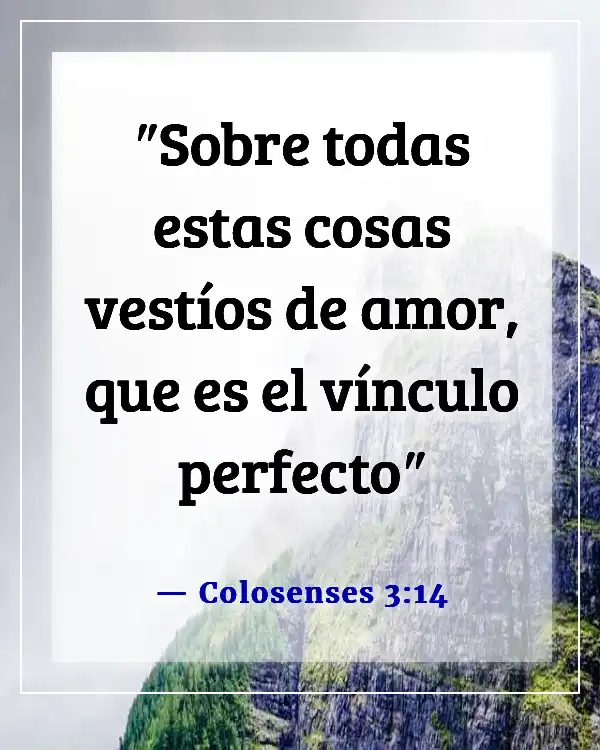 Versículos bíblicos para problemas de relación (Colosenses 3:14)
