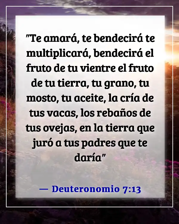 Versículos de la Biblia sobre los hijos son una bendición del Señor (Deuteronomio 7:13)