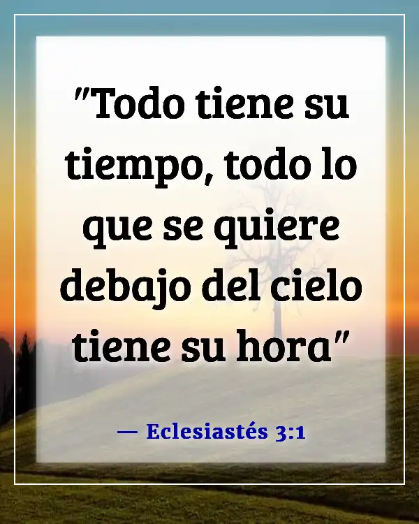 Versículo de la Biblia sobre el tiempo para todo (Eclesiastés 3:1)
