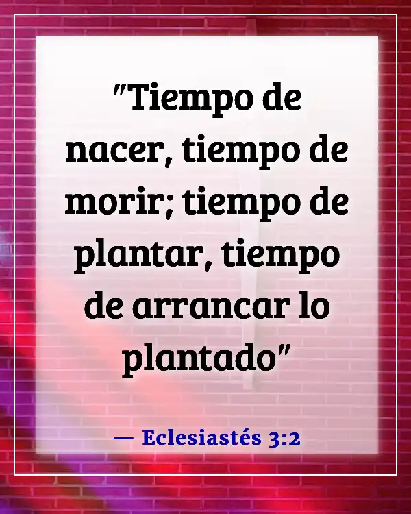 Versículo de la Biblia sobre el tiempo para todo (Eclesiastés 3:2)