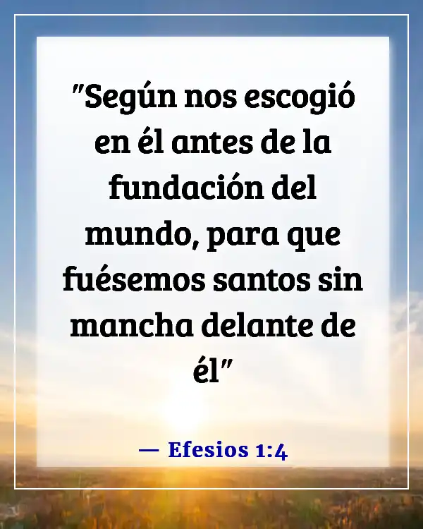 Versículo de la Biblia sobre ser apartado del mundo (Efesios 1:4)