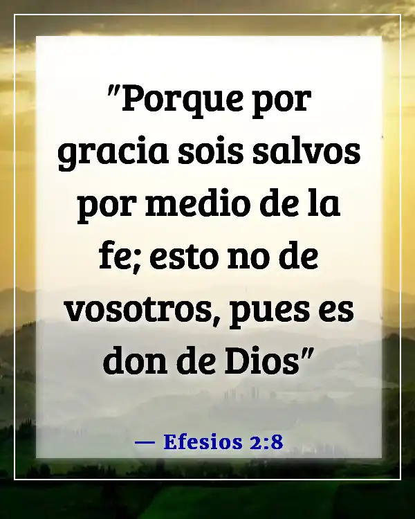 Versículos de la Biblia sobre la gracia y el perdón (Efesios 2:8)