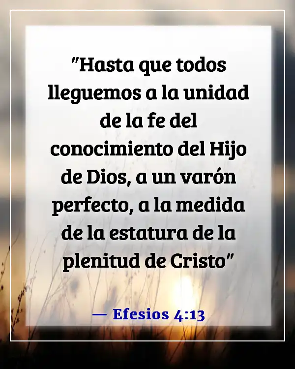 Versículos bíblicos sobre la división (Efesios 4:13)
