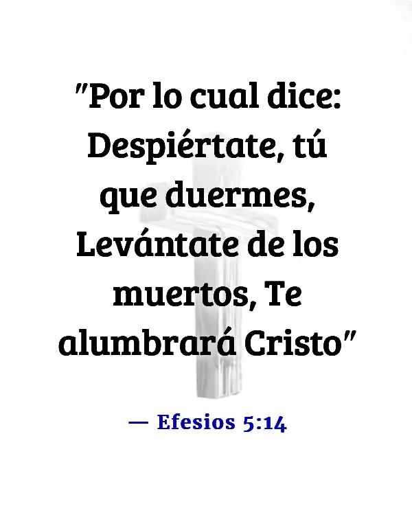 Versículos de la Biblia sobre el sueño y la pereza (Efesios 5:14)