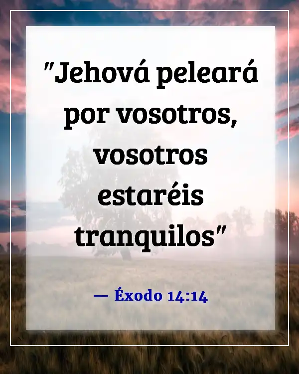 Versículos de la Biblia sobre esperar pacientemente (Éxodo 14:14)