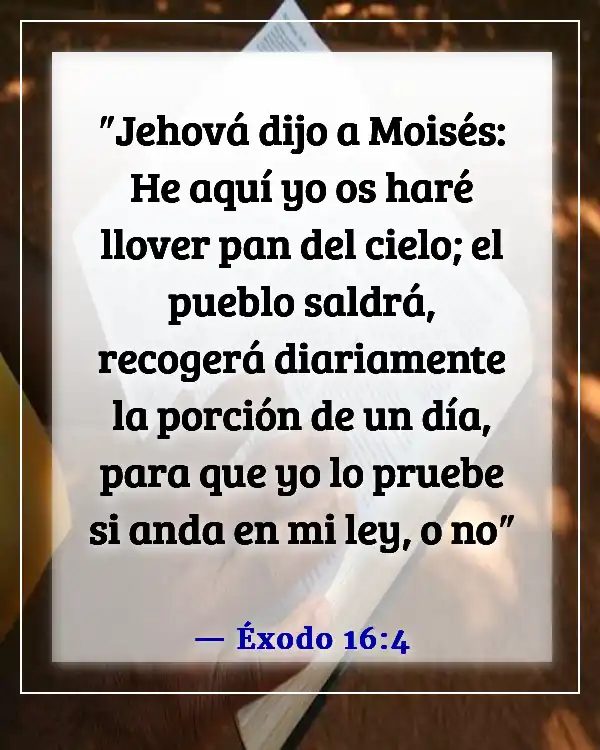 Versículo de la Biblia sobre Dios probándonos (Éxodo 16:4)