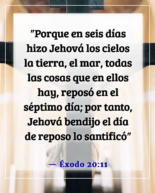 Versículos de la Biblia sobre respetar la creación de Dios (Éxodo 20:11)