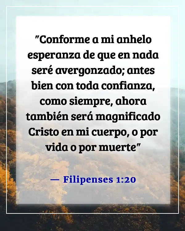 Versículos de la Biblia sobre honrar el nombre de Dios (Filipenses 1:20)
