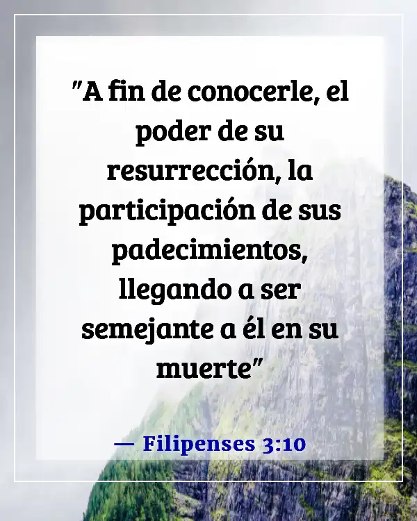 Versículo de la Biblia sobre estar agradecido por las pruebas (Filipenses 3:10)
