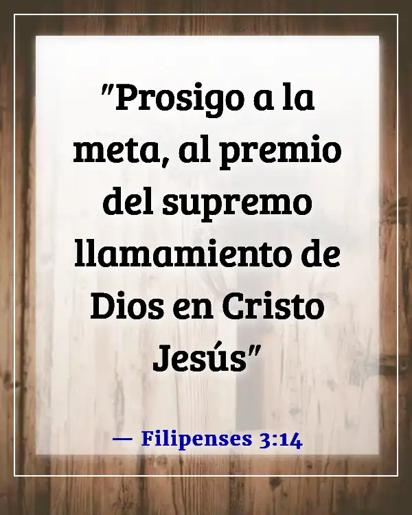 Versículo de la Biblia sobre logros (Filipenses 3:14)