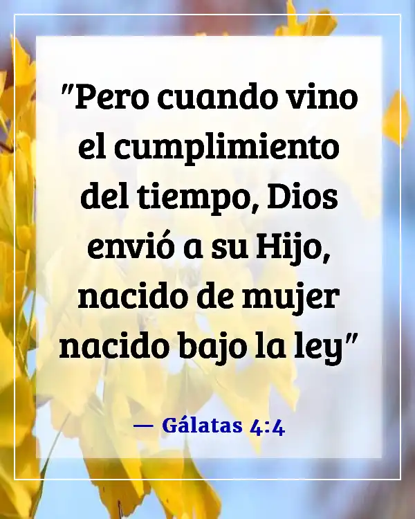 Versículo de la Biblia sobre el tiempo para todo (Gálatas 4:4)