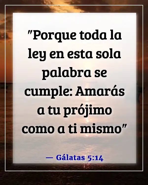 Versículo de la Biblia sobre no juzgar (Gálatas 5:14)