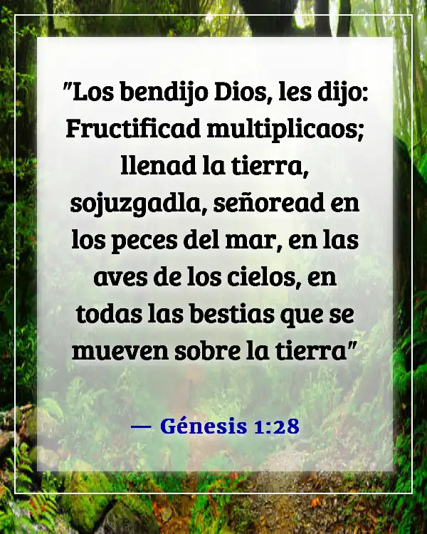 Versículos de la Biblia para problemas de fertilidad (Génesis 1:28)