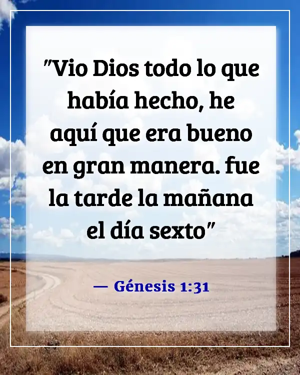Versículos de la Biblia sobre respetar la creación de Dios (Génesis 1:31)