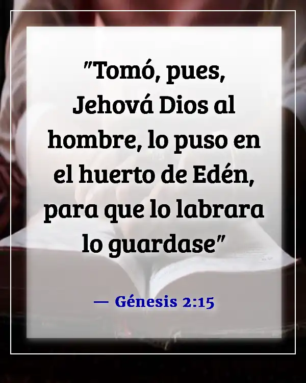 Versículos de la Biblia sobre respetar la creación de Dios (Génesis 2:15)