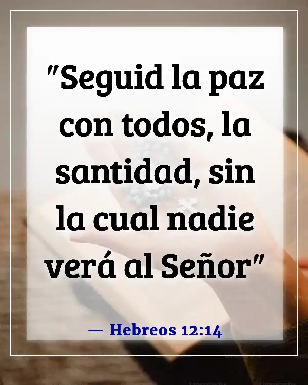 Versículo de la Biblia sobre ser apartado del mundo (Hebreos 12:14)