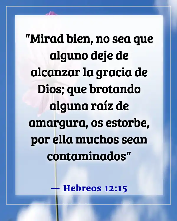 Versículos de la Biblia sobre dejar ir los sentimientos heridos (Hebreos 12:15)