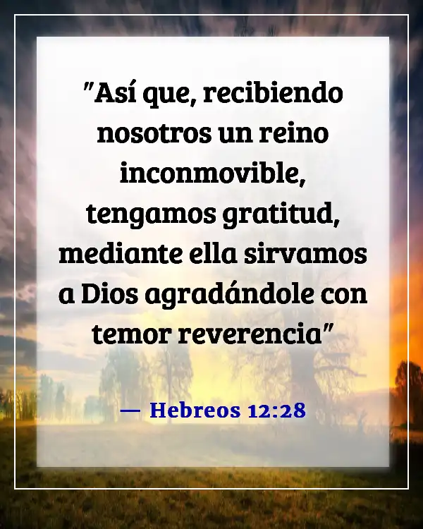 Versículo de la Biblia sobre el compromiso de servir a Dios (Hebreos 12:28)