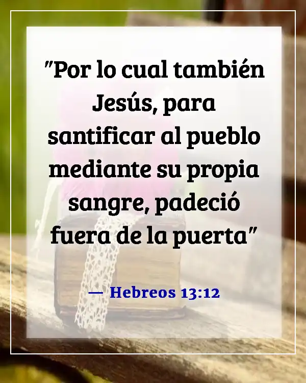 Versículo de la Biblia sobre ser apartado del mundo (Hebreos 13:12)