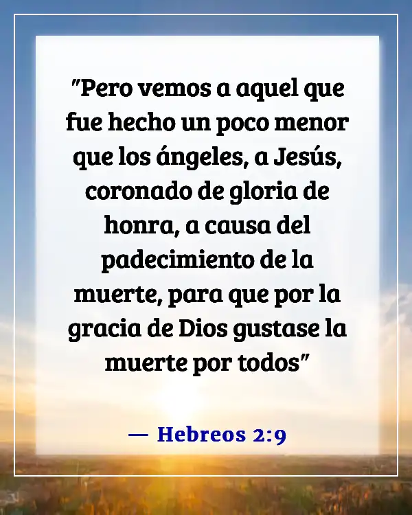Versículos de la Biblia sobre Dios aceptando a todos (Hebreos 2:9)