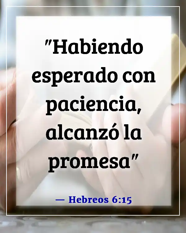 Versículos de la Biblia sobre esperar en Dios (Hebreos 6:15)