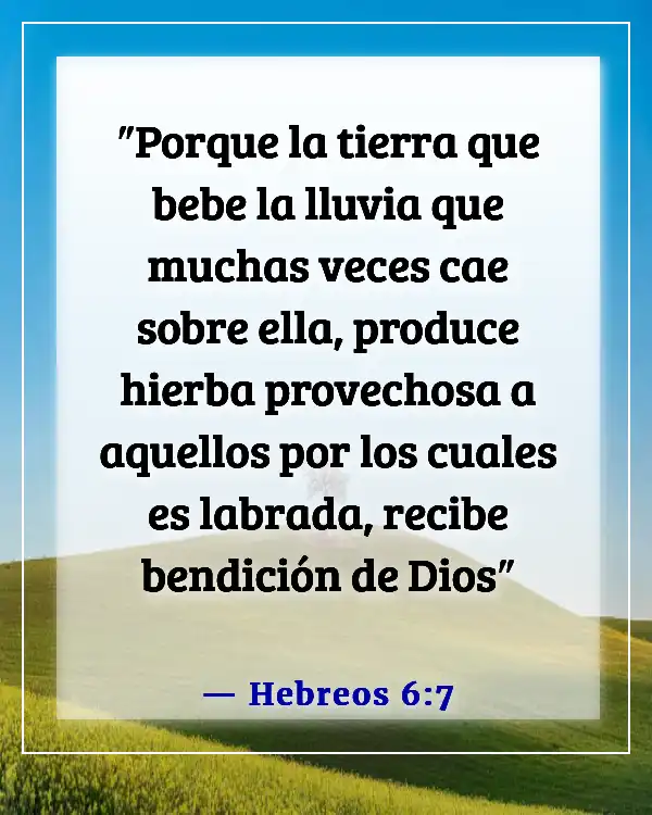 Versículo bíblico sobre maldiciones y bendiciones (Hebreos 6:7)