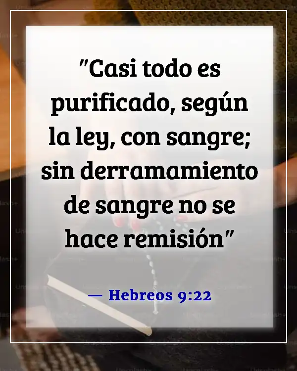 Versículo de la Biblia sobre que solo Dios puede perdonar pecados (Hebreos 9:22)